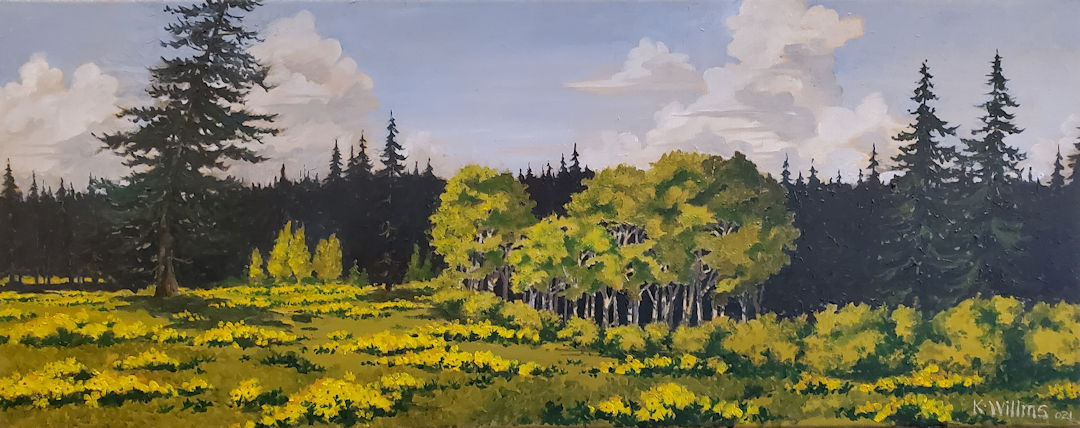 O’Connor Lake Road — Kamloops, BC — Karl Willms