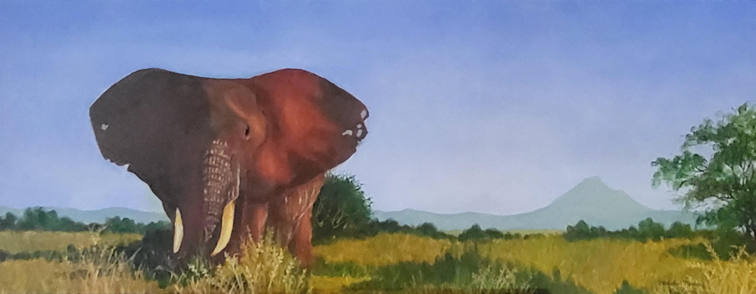 Old Tembo — Tarangire, Tanzania — Karl Willms