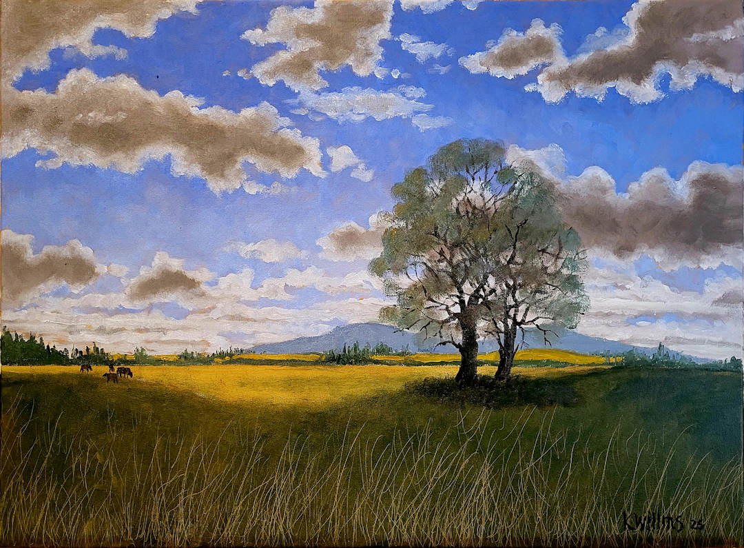 Summer Fields — Karl Willms