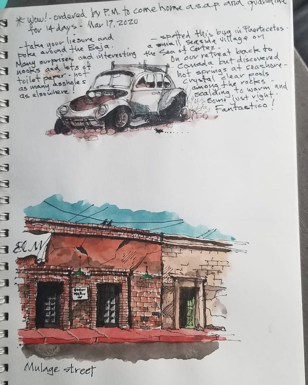 Bugs in Baja — Baja California, Mexico — Karl Willms