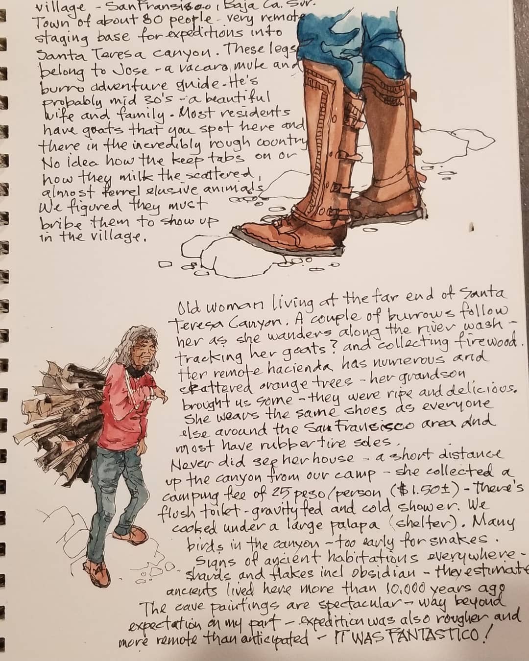 Legs and Firewood — Santa Teresa Canyon, BCS — Karl Willms