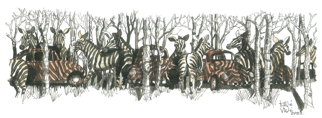 Z-Bugs — Karl Willms