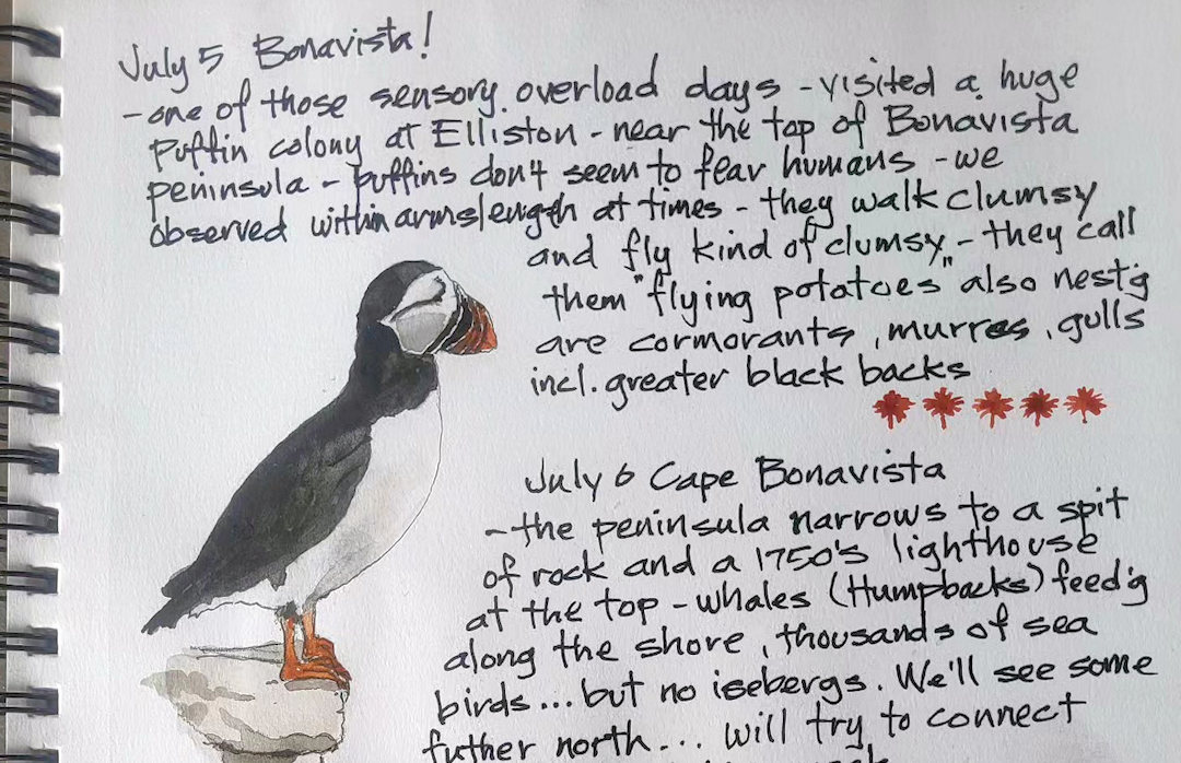 Puffin — Elliston, Newfoundland — Karl Willms