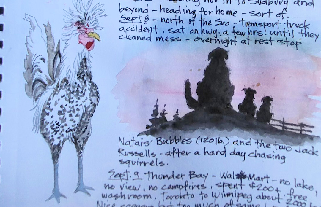 Rooster, Bubbles and two Jack Russells — Barrie, Ontario — Karl Willms