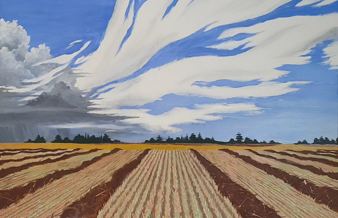 Canola Harvest — Saskatchewan — Karl Willms